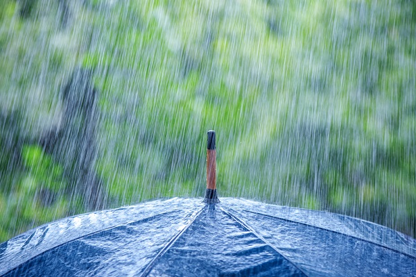 Hurricane Idalia Brings Flood Insurance into Focus