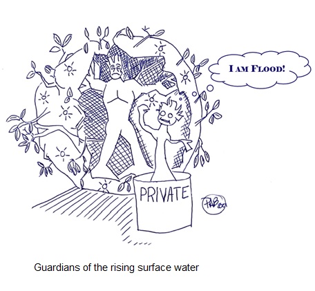 Student of the Industry: Private Flood’s Impressive Growth 